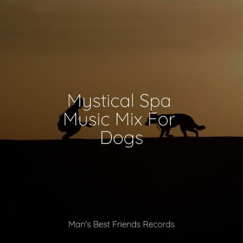 Relaxing Music for Dogs - Mystical Spa Music Mix For Dogs - 2022