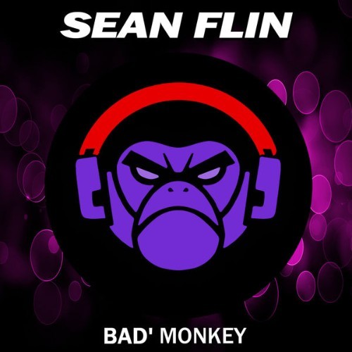 Sean Flin - Feels so Good - 2022