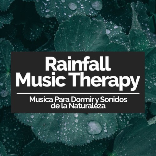 Musica Para Dormir y Sonidos de la Naturaleza - Rainfall Music Therapy - 2019
