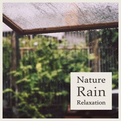 Noble Music ASMR - Nature Rain Relaxation - 2021
