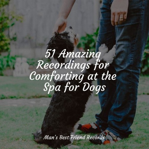 Calm Doggy - 51 Amazing Recordings for Comforting at the Spa for Dogs - 2022