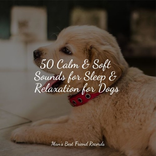 Dog Music Club - 50 Calm & Soft Sounds for Sleep & Relaxation for Dogs - 2022