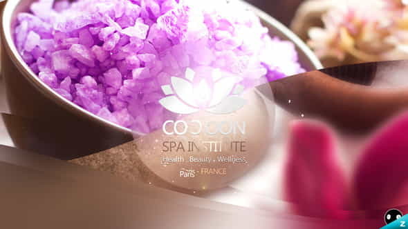 SPA Logo Reveal - VideoHive 12941204