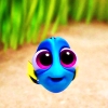 image host