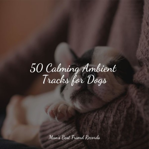 Sleeping Music For Dogs - 50 Calming Ambient Tracks for Dogs - 2022