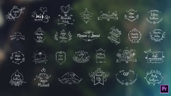 Wedding Titles Bundle - VideoHive 22712193