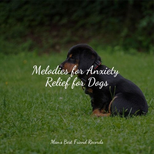 Sleepy Dogs - Melodies for Anxiety Relief for Dogs - 2022