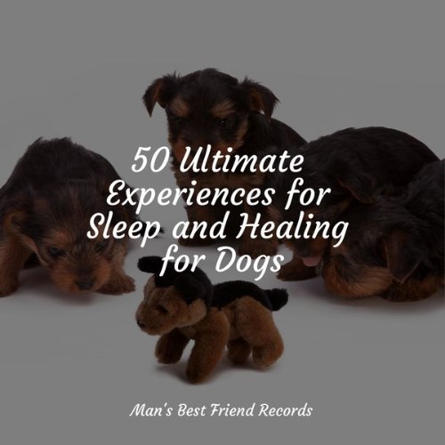 Music For Dogs - 50 Ultimate Experiences for Sleep and Healing for Dogs - 2022