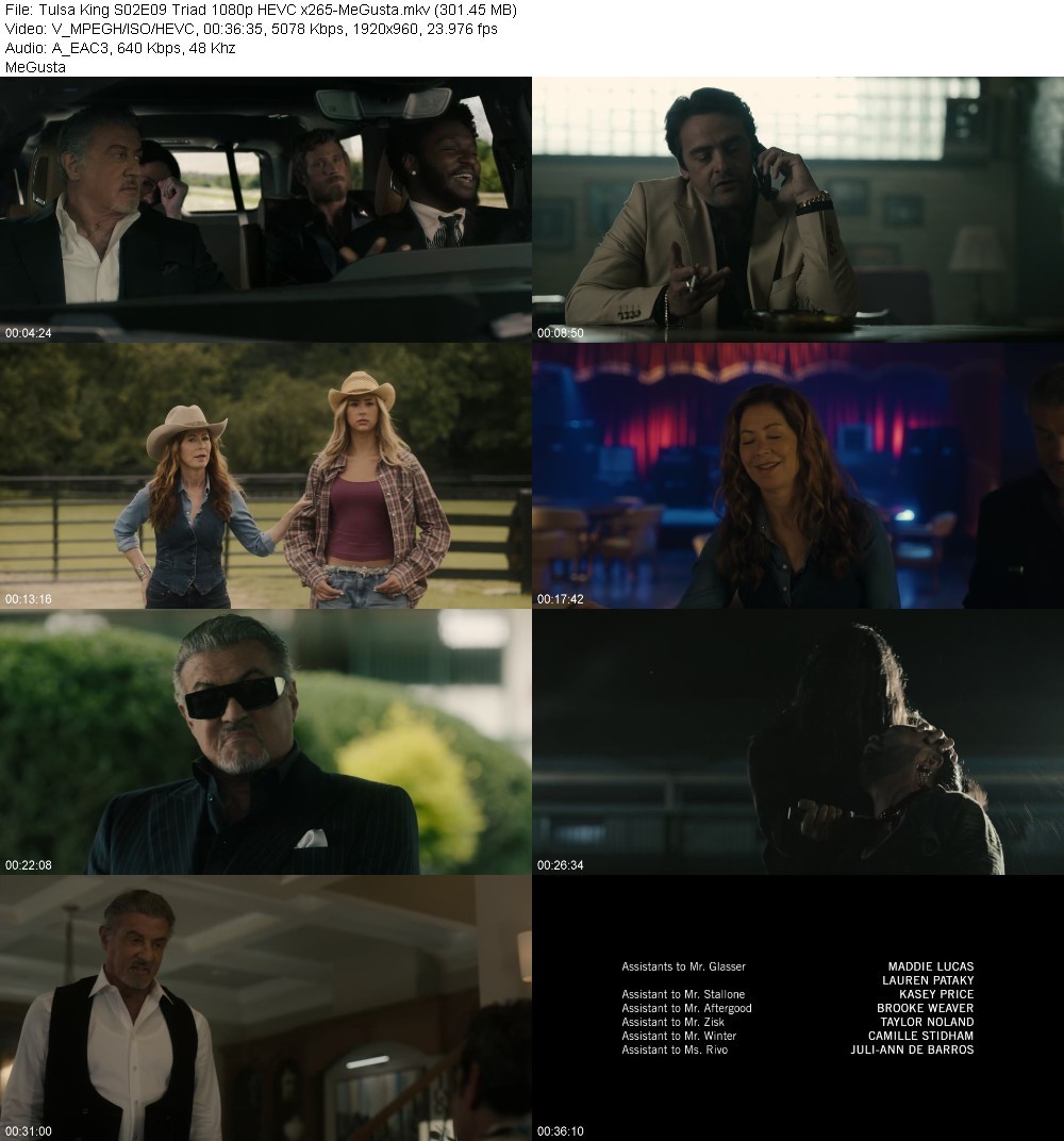 Tulsa King S02E09 Triad 1080p HEVC x265-MeGusta