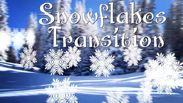 Snowflakes Transition - VideoHive 9294094