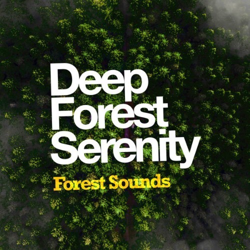 Forest Sounds - Deep Forest Serenity - 2019