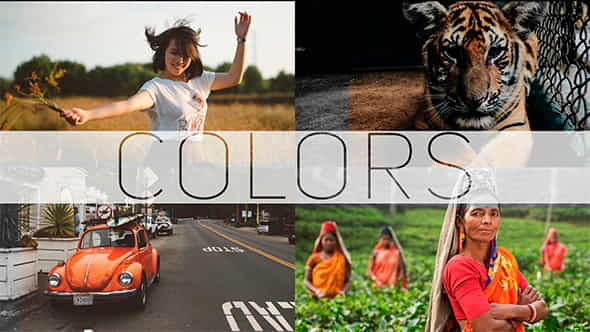 COLORS - PhotoVideo Gallery - VideoHive 10437326