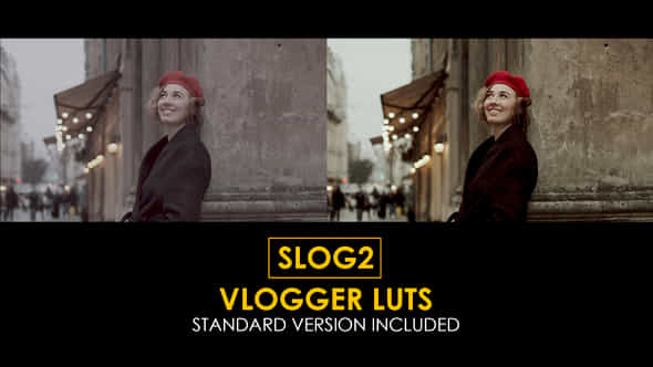 Slog2 Vlogger And Standard Luts - VideoHive 42789824