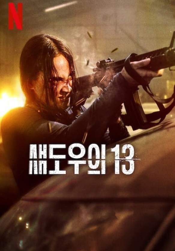 섀도우의 13(2024)