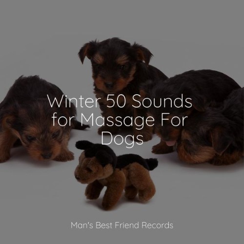 Jazz Music for Dogs - Winter 50 Sounds for Massage For Dogs - 2022