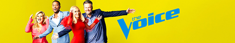 The Voice S17E14 WEB h264-TBS