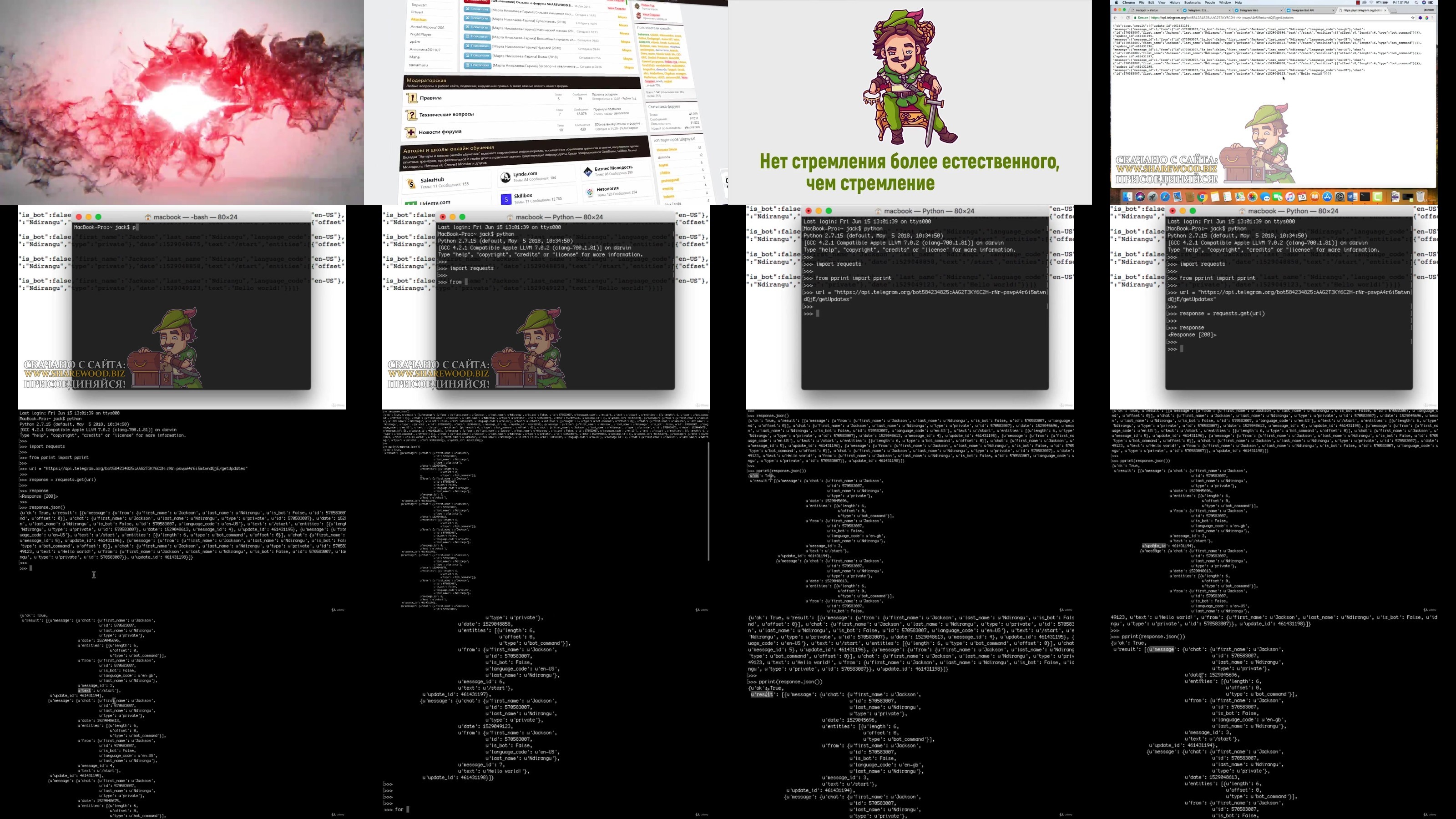 https://images2.imgbox.com/b3/42/jYWOwGd3_o.jpg
