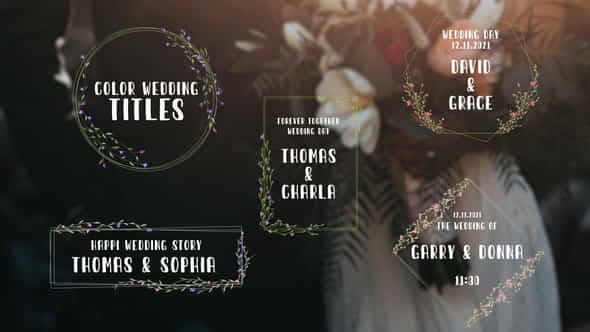 Color Wedding Titles - VideoHive 34704268