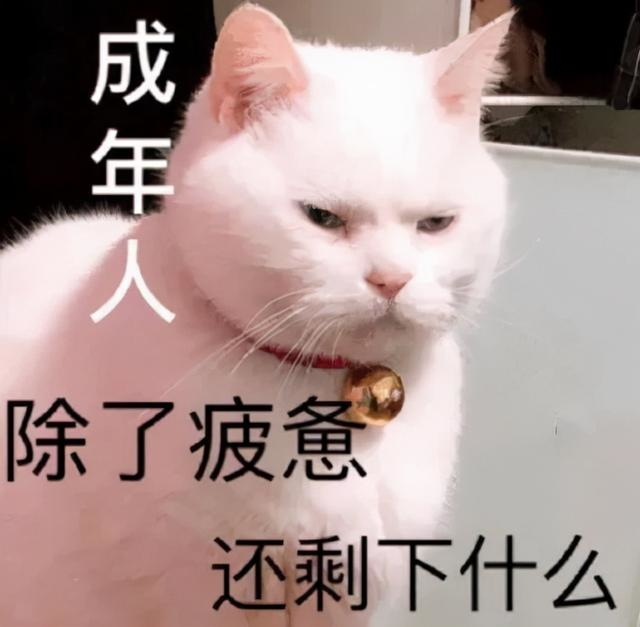 学历低的程序员要起飞了？看python程序员如何月入30k？