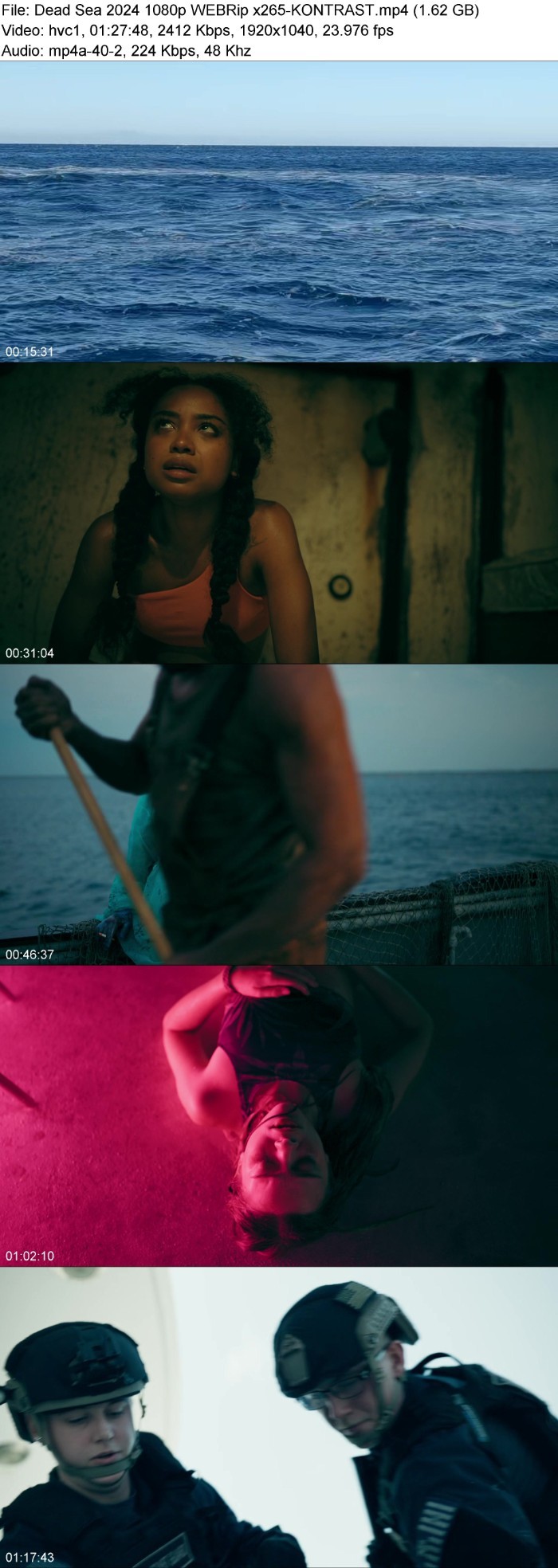 Dead Sea (2024) 1080p WEBRip x265-KONTRAST BuOdKQ8z_o