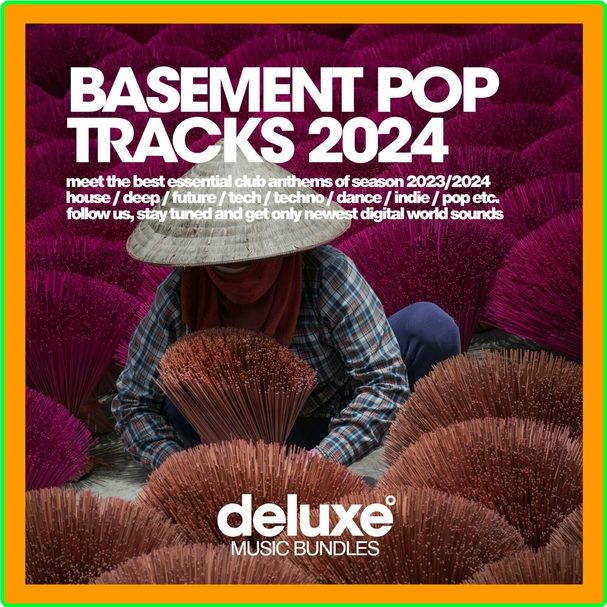 VA Basement Pop Tracks (2024) WEB [320 Kbps] Nh2j47bI_o