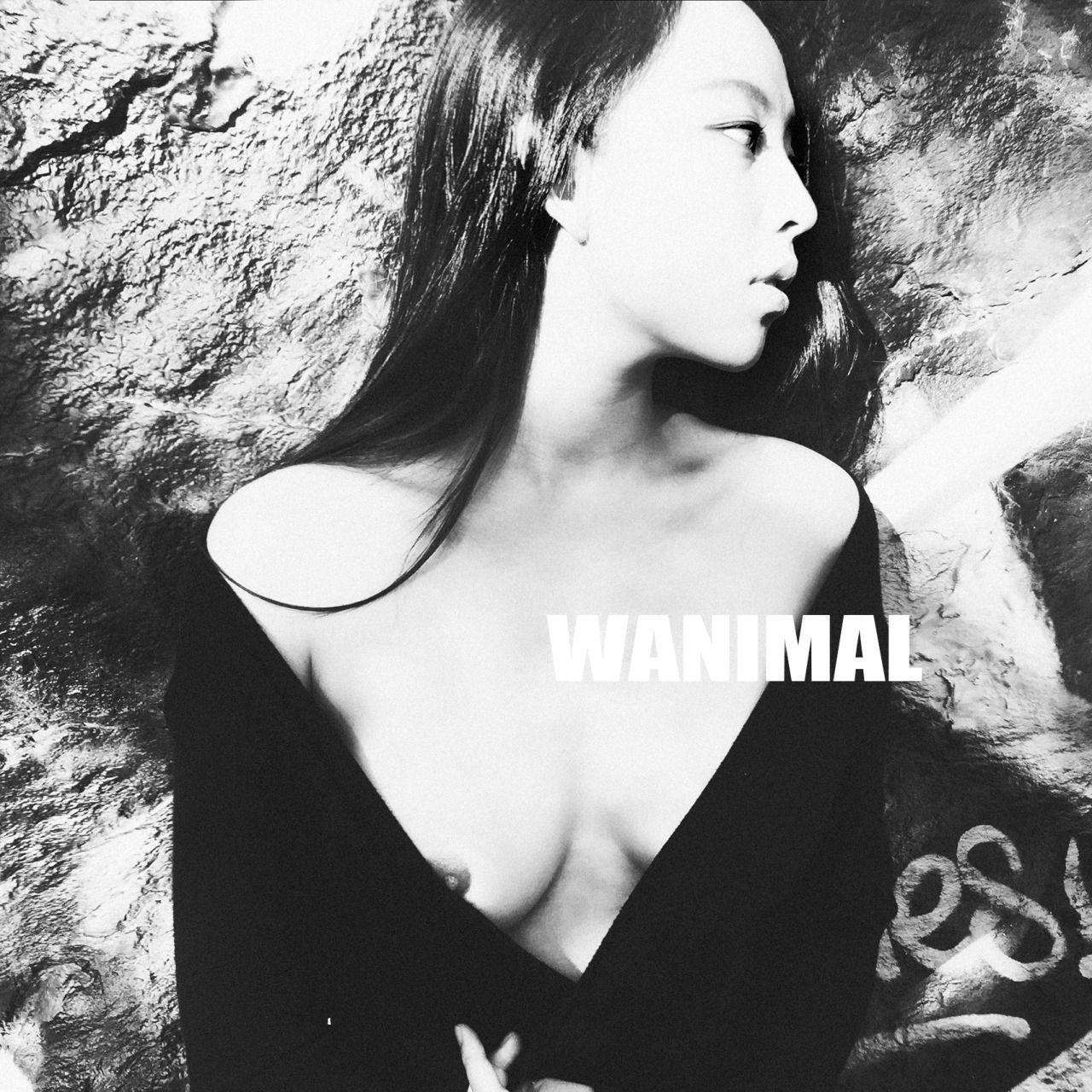 [WANIMAL王動系列] Photo Collections Set.21(40)