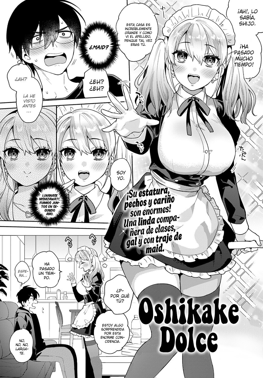 Oshikake dolce - 3