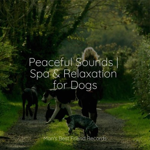 Music for Dog's Ears - Peaceful Sounds  Spa & Relaxation for Dogs - 2022