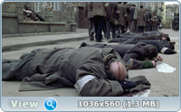  / The Pianist / 2002 / , ,  / BDRip (AVC)