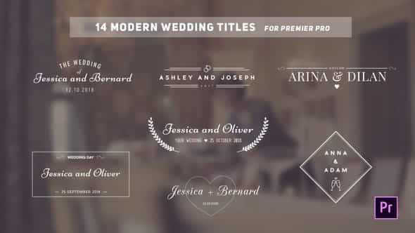 Wedding Titles - VideoHive 22257581