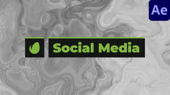 Social Media Lower Thirds - VideoHive 29799475