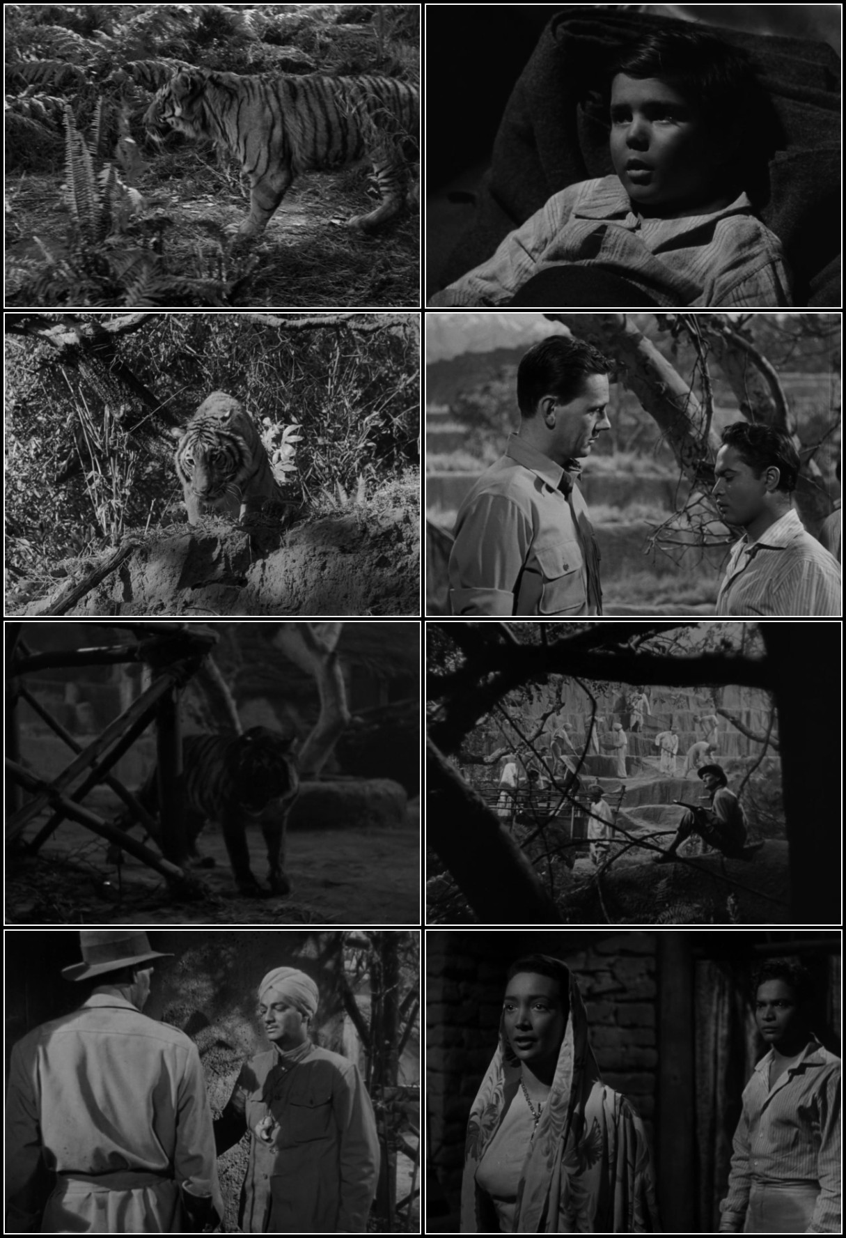Man-Eater Of Kumaon (1948) 720p BluRay-LAMA Mxf25hdh_o