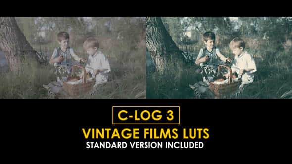 Clog3 Vintage Film And Standard Color Luts - VideoHive 51169972