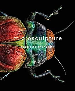 Microsculpture Portraits of Insects