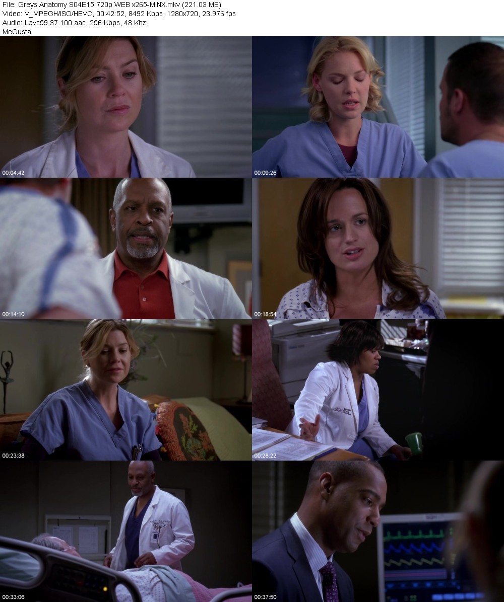 Greys Anatomy S04E15 720p WEB x265-MiNX