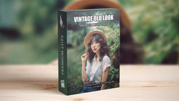 Old Vintage Fujifilm 70S 80S 90S Retro Kodak Gold Cinematic Hollywood Street Luts - VideoHive 49914567