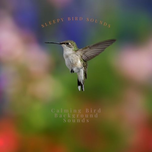 Calming Bird Background Sounds - Sleepy Bird Sounds, Vol 2 - 2022