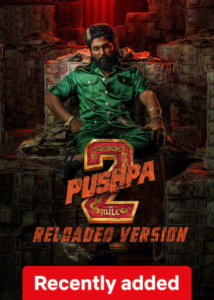 Pushpa 2 2025 Reloaded Version Hindi Dubbed Movie ORG 720p WEB-DL 1Click Download