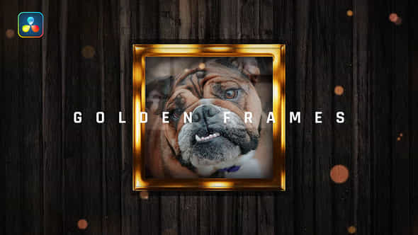 Golden Memory - VideoHive 36672561