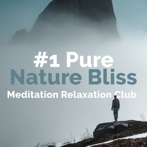 Meditation Relaxation Club - #1 Pure Nature Bliss - 2019