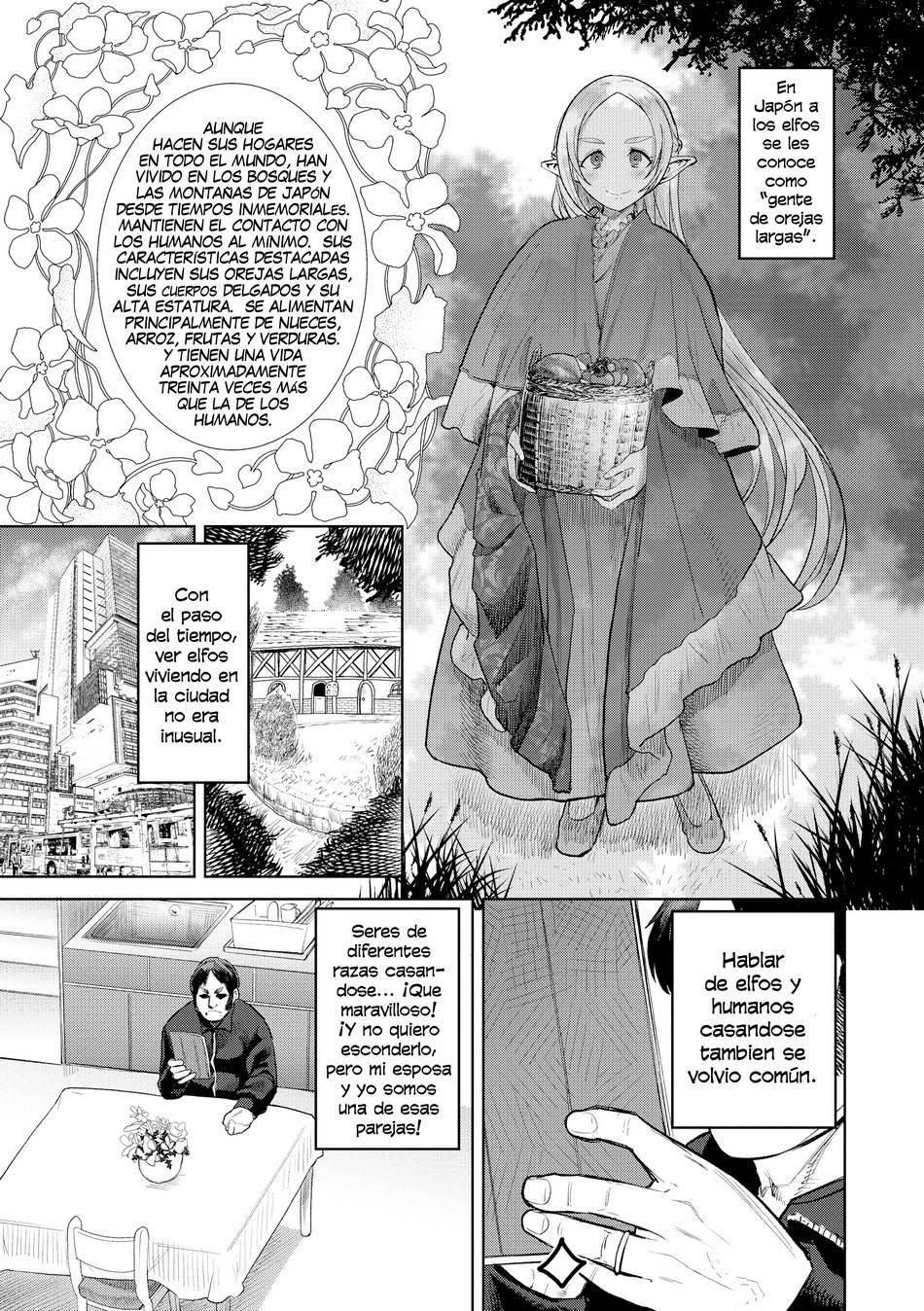 Elfa Contemporanea - Page #1
