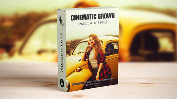 Cinematic Brown Moody Film Look Outdoor Video Luts Pack - VideoHive 48828374