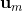 mathbf{u}_{m}
