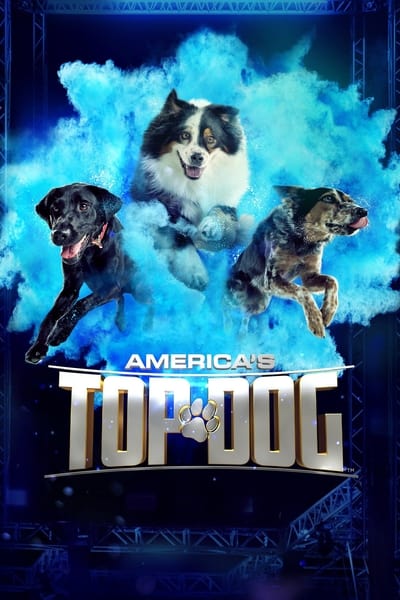 Americas Top Dog S02E03 720p HEVC x265-MeGusta