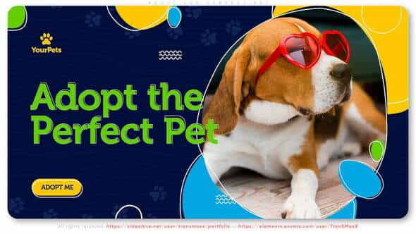 Adopt the Perfect Pet. Be - VideoHive 30388226