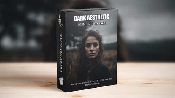 Dark Aesthetic Moody Cinematic Film Luts Pack - VideoHive 49871859