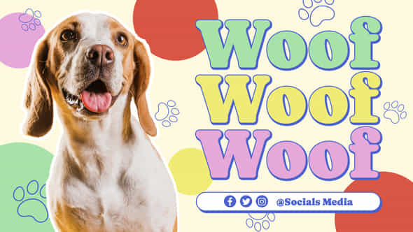 Pet Care Promo - VideoHive 51273108