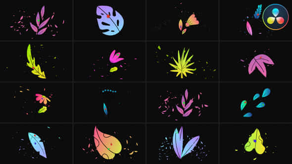 Flowers Pack For Davinci Resolve - VideoHive 48963300