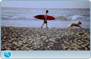https//images2.imgbox.com/b7/32/0xNV5Xhl_o.png