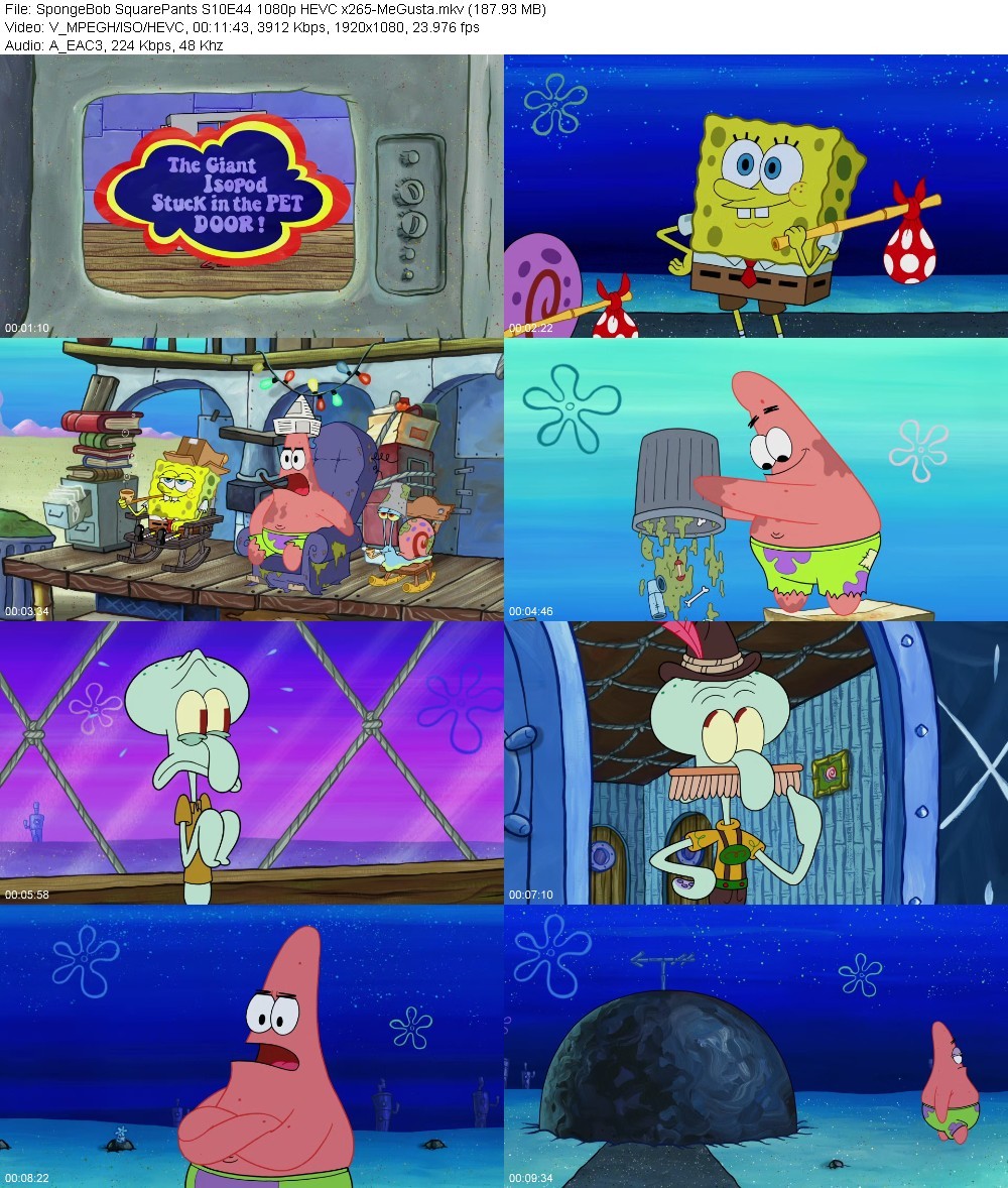 dVRiNSfS_o.jpg